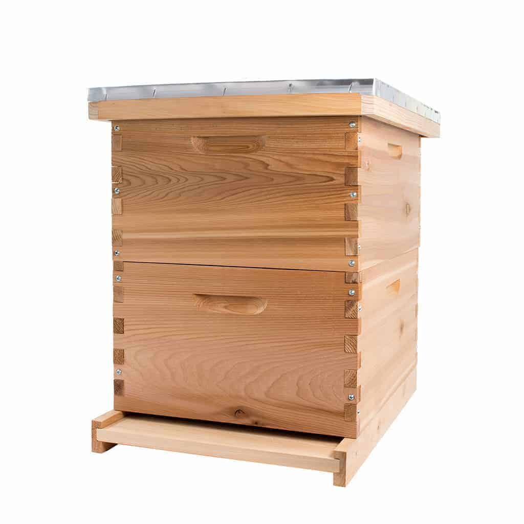 beekeeping business