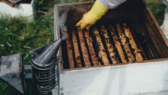 beekeeping business equipment